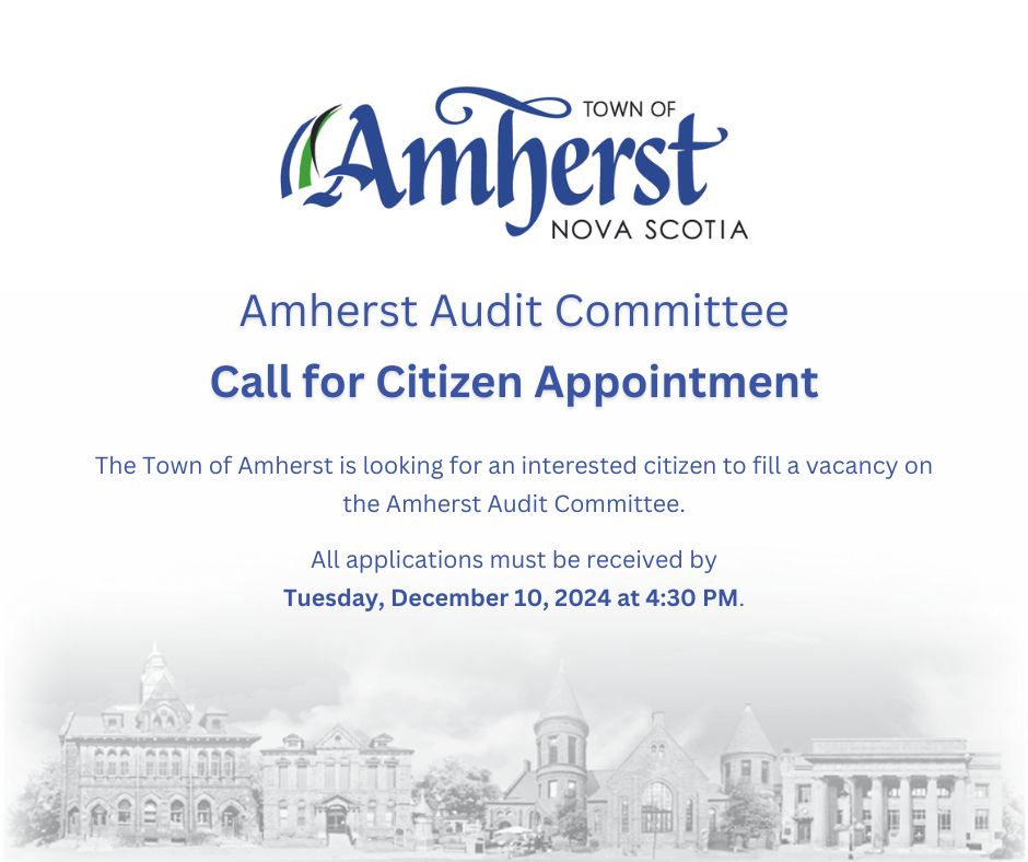 20241128 Audit Committee Call for Citizen Appointment