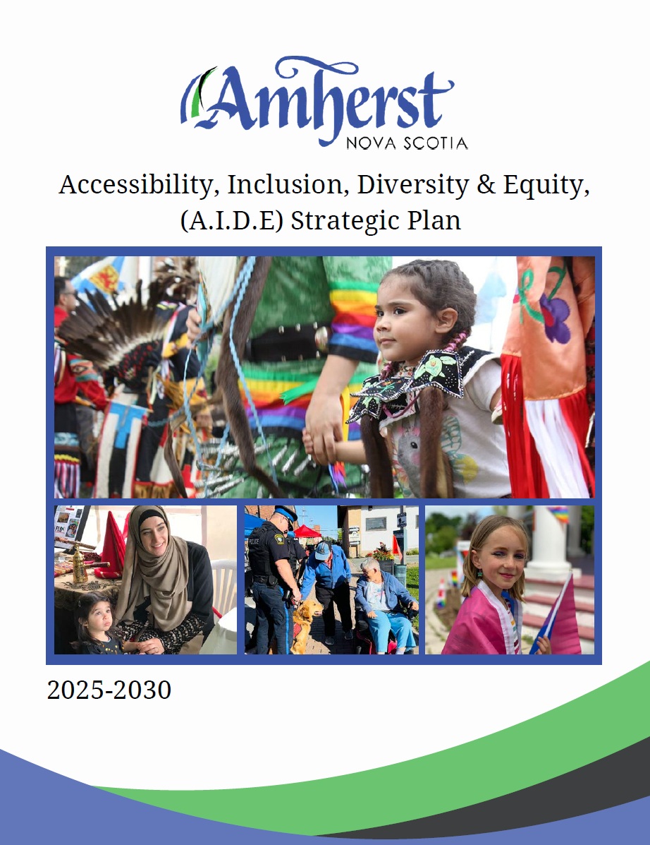 AIDE Strat Plan Front Cover 20250327