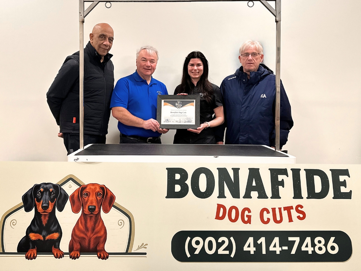 Bonafide Dog Cuts Article Image 20260120