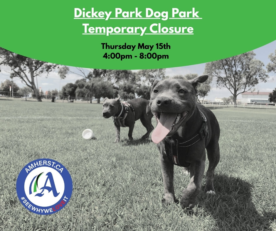Dickey Park Dog Park Closure 20250515