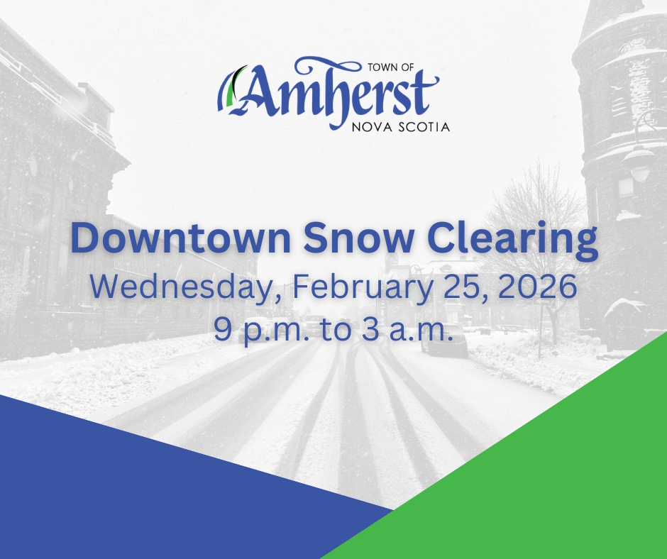 Downtown Snow Clearing 20260225