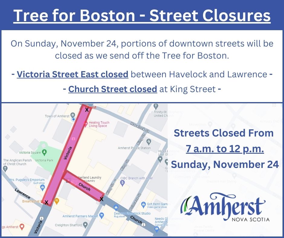 Tree for Boston Street Closure 20241121