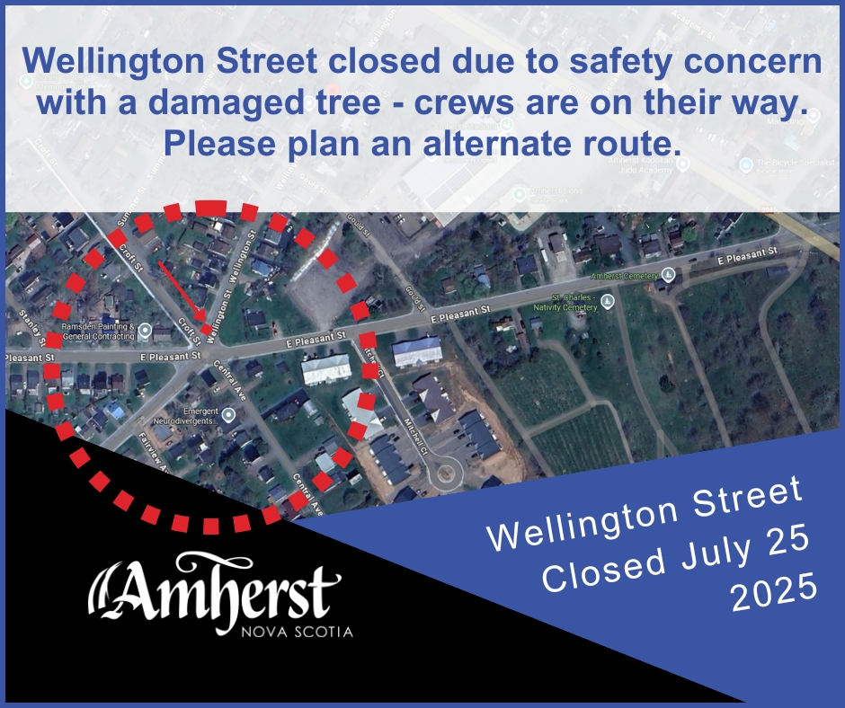 Wellington closure 20250725