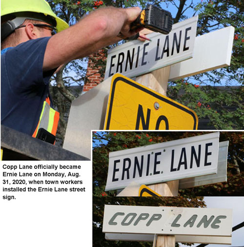 Ernie Lane 8 D