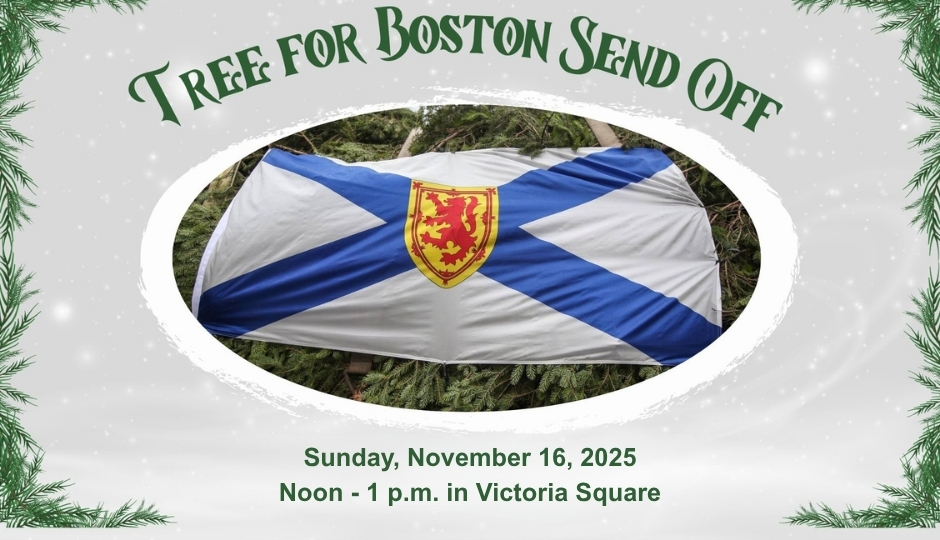 Tree for Boston 2025 20251110